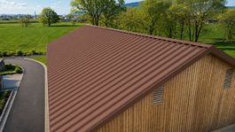 Wellprofil/Trapezblech/ Holzabdeckung/ Scheunendach