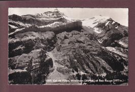 Col du PILLON - Oldenhorn