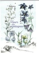 Bergblumen 1 KB **