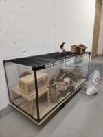 Das ultimative Hamster-Paradies! Terrarium (100x40x40 cm)