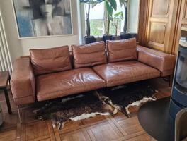 Flexform "LIFESTEEL" Ledersofa