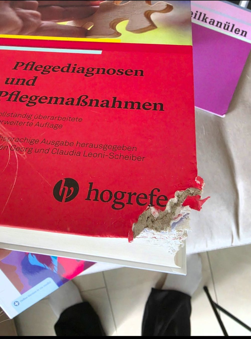Libri: HF Studium - Bücher – Usato da Benglen venduto da bienli88 1
