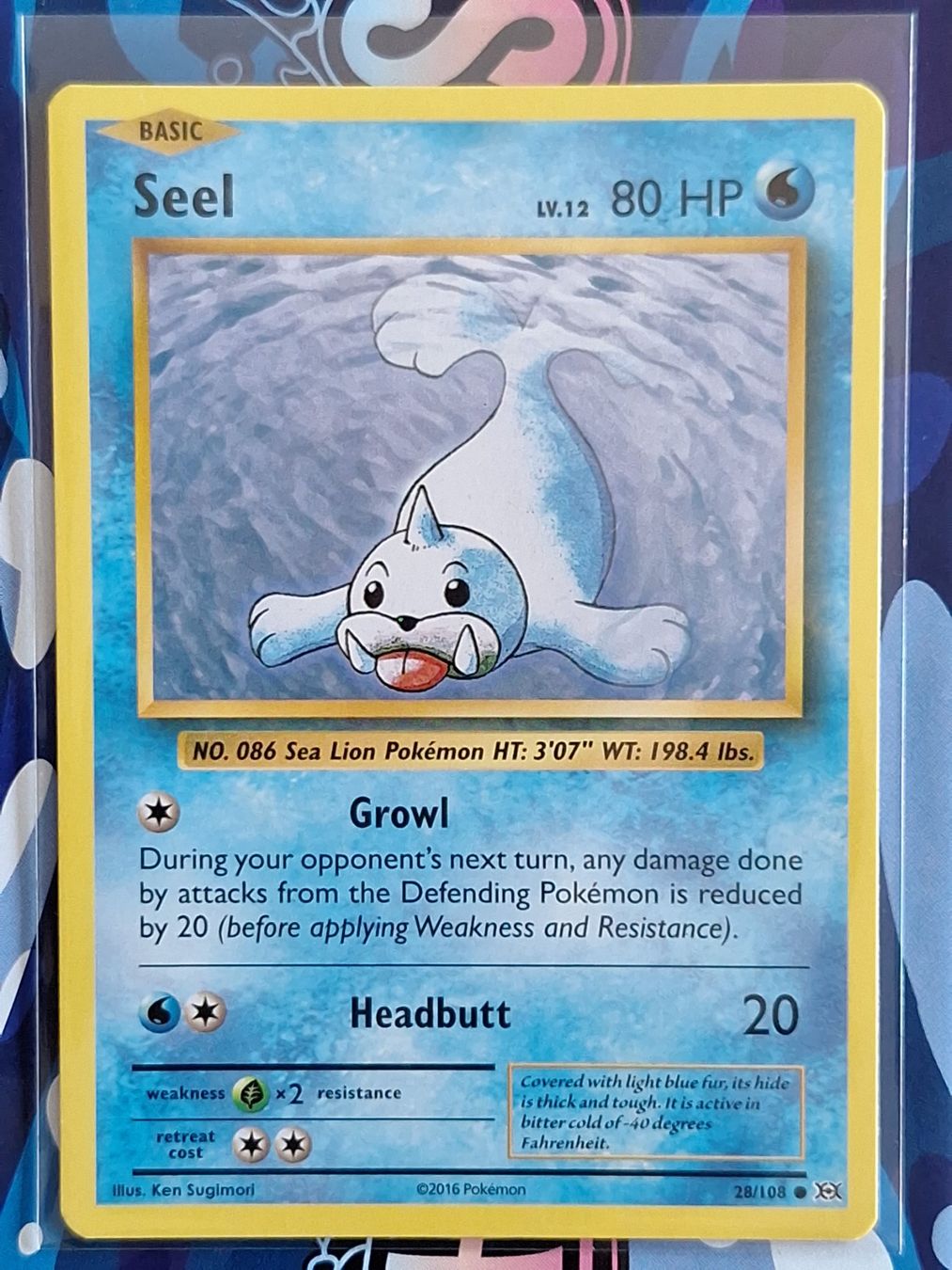 Pokémon Carte collezionabili: Seel Jurob - XY Evolutions Pokemon - #7.7 – Usato da Altstätten SG venduto da GGsGameshop