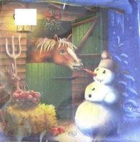 Serviette carrot robber 25x25 (w519) 3Stk.