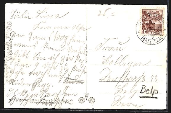 Cartes postales: AK Sissach, Teilansicht mit Blumenwiese – D'occasion à Berlin par bartko-reher 1