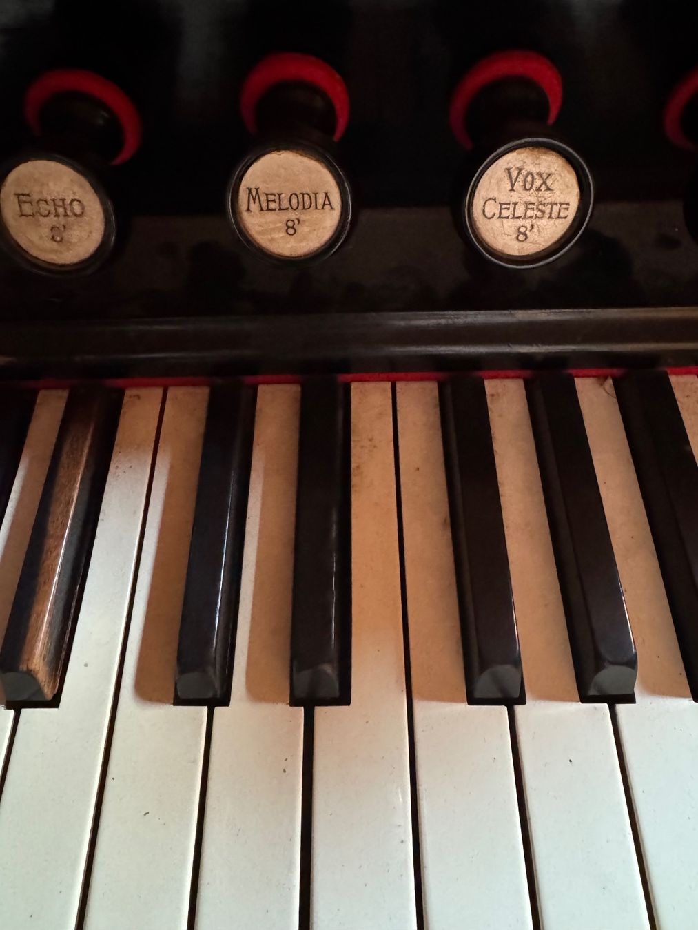 Strumenti musicali: Antikes Harmonium, wunderschön verziert – Usato da Schöfflisdorf venduto da sonjastarfish 3