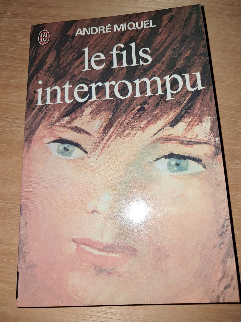 Bücher: Livre Le fils interrompu – Gebraucht aus Le locle von juliensaran