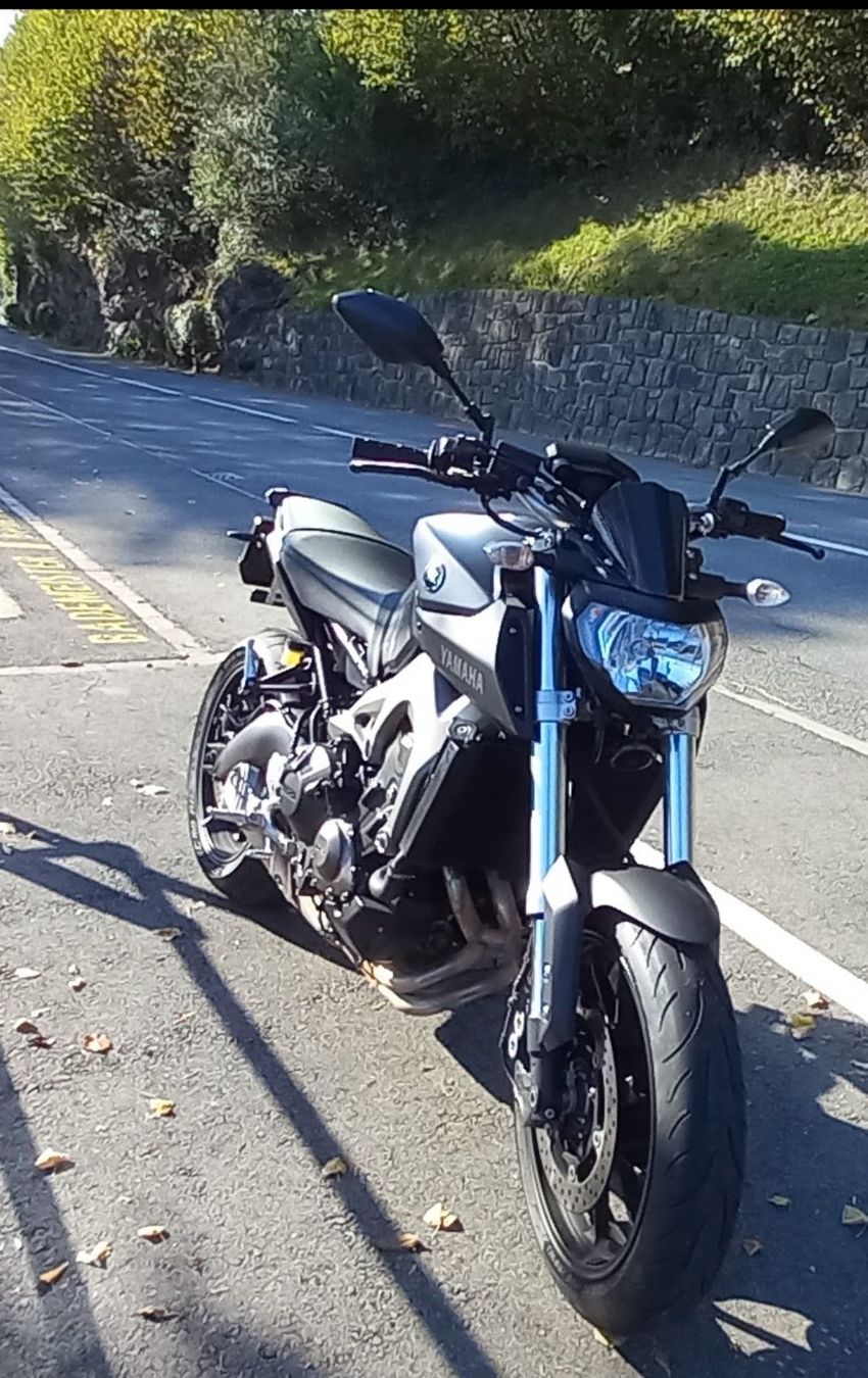 Yamaha Altro: Yamaha MT09 2015 – Usato da Schwyz venduto da Pink270