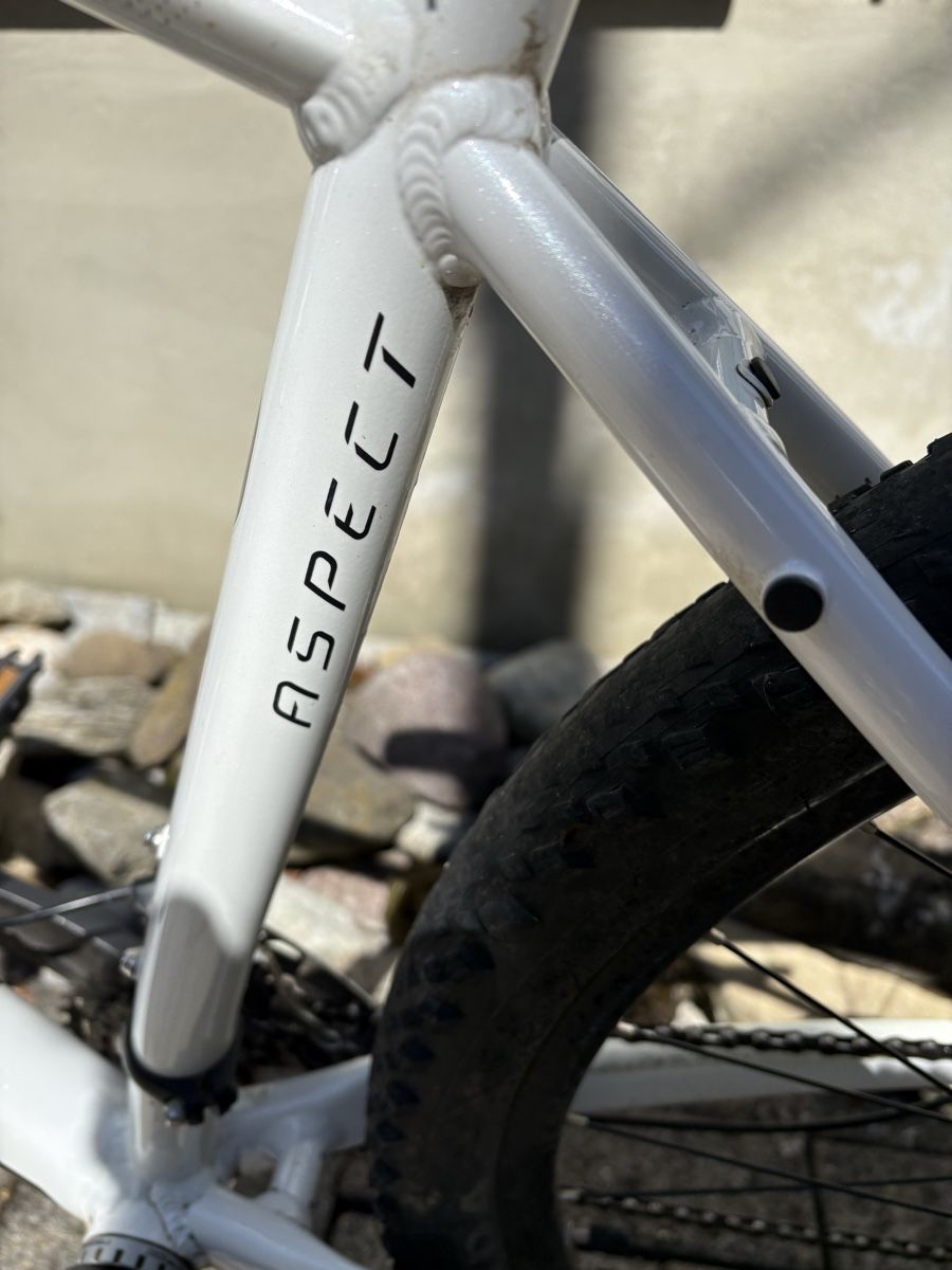 Scott Biciclette: Scott Aspect Mountainbike L – Usato da Winterthur venduto da Baco 4
