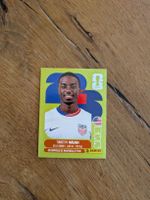 Panini Bild USA 12