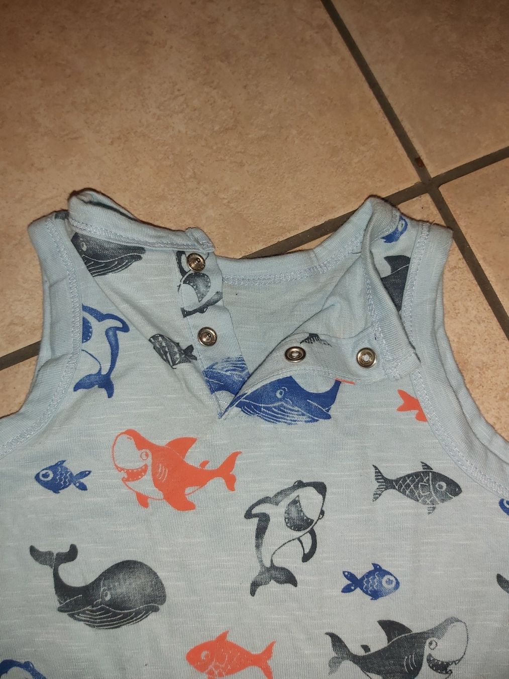 Lotti & Set di vestiti: T-shirt Gr.74 – Usato da Disentis/Mustér venduto da epa_862v 2