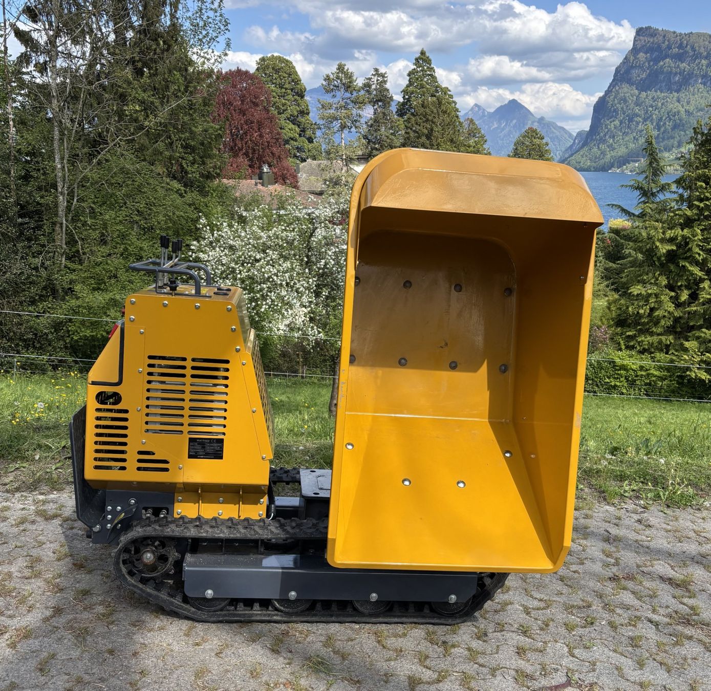 Alle Maschinen: Raupendumper hydrostatisch Nutzlast 1000 kg – Neu (gemäss Beschreibung) aus Kastanienbaum von acapulco 3