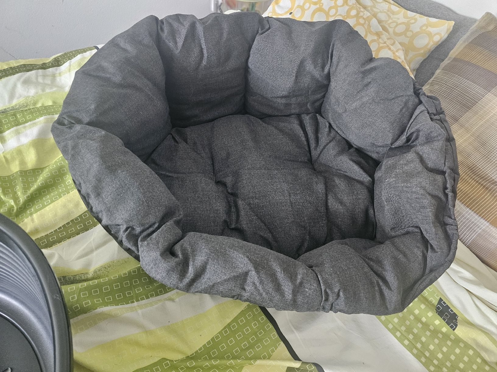 Liege- & Schlafplätze: FerplastHunde/Katzenbett Siesta Deluxe Schwarz – Neu (gemäss Beschreibung) aus Winterthur von Sorayamou