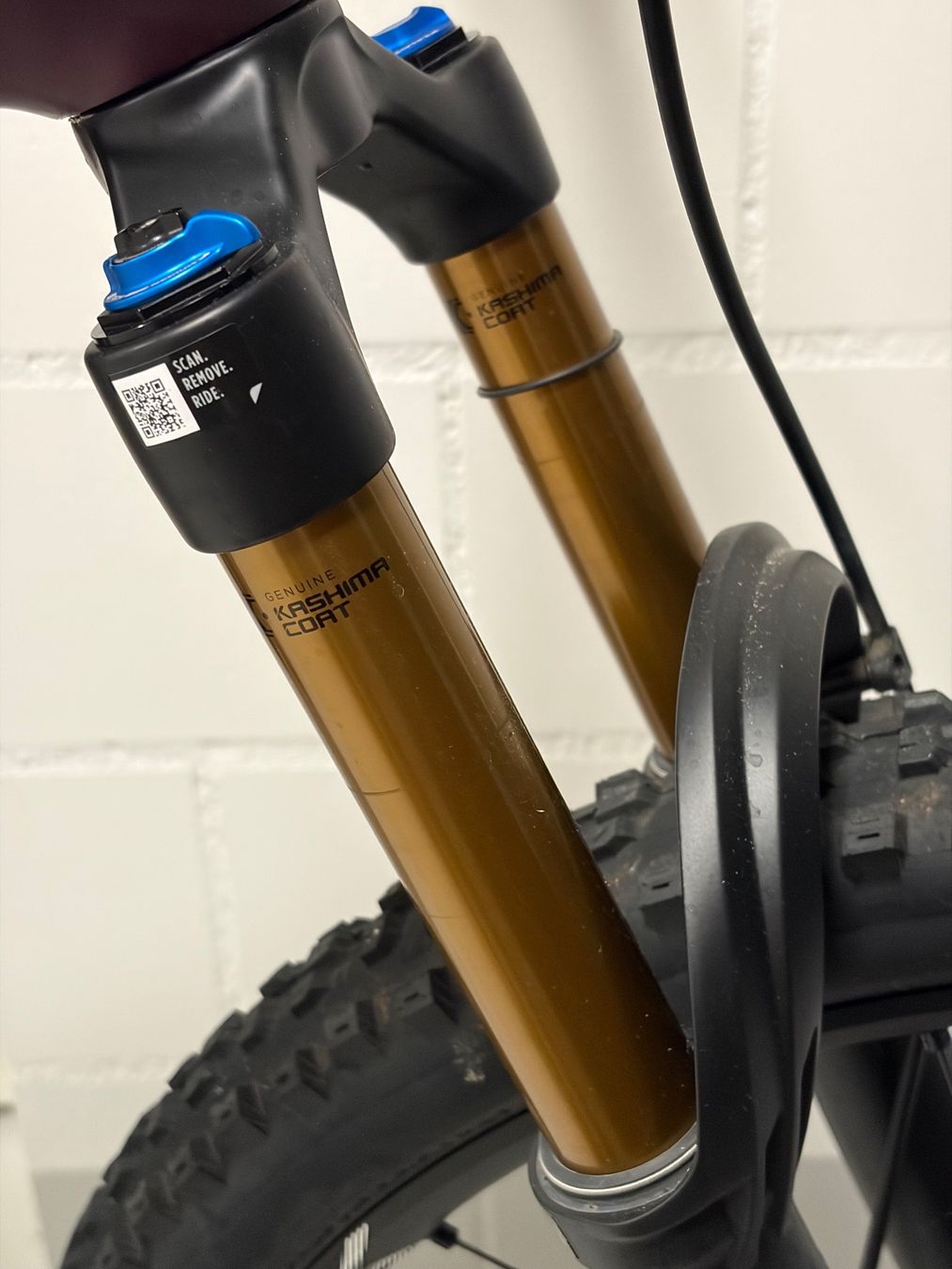 Orbea Biciclette: Orbea Rise H10 2023 Grösse L – Usato da Wichtrach venduto da Makena28 5