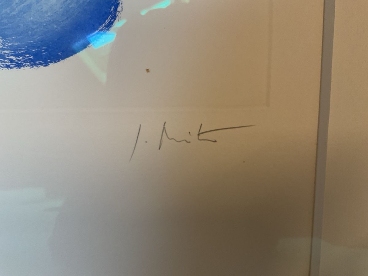 Foto & Immagini: Zwei wunderschöne Kunstdrucke von Jean Miotte – Usato da Dübendorf venduto da rob_td8b 3