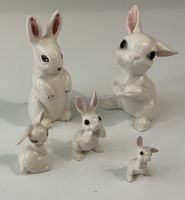 Famille de 5 lapins crème