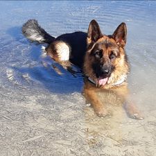 Profile image of Navyseal