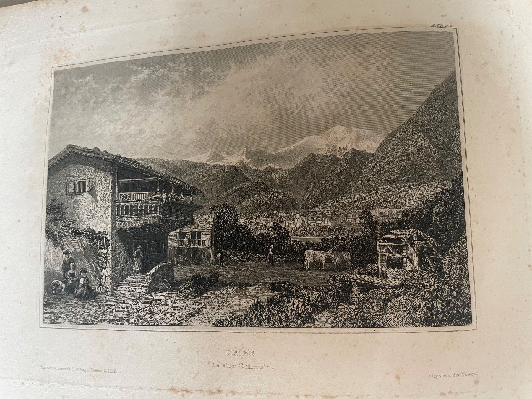 Libri: Meyer's Universum Erster Band 1833 - Buch – Usato da Minusio venduto da Pink222