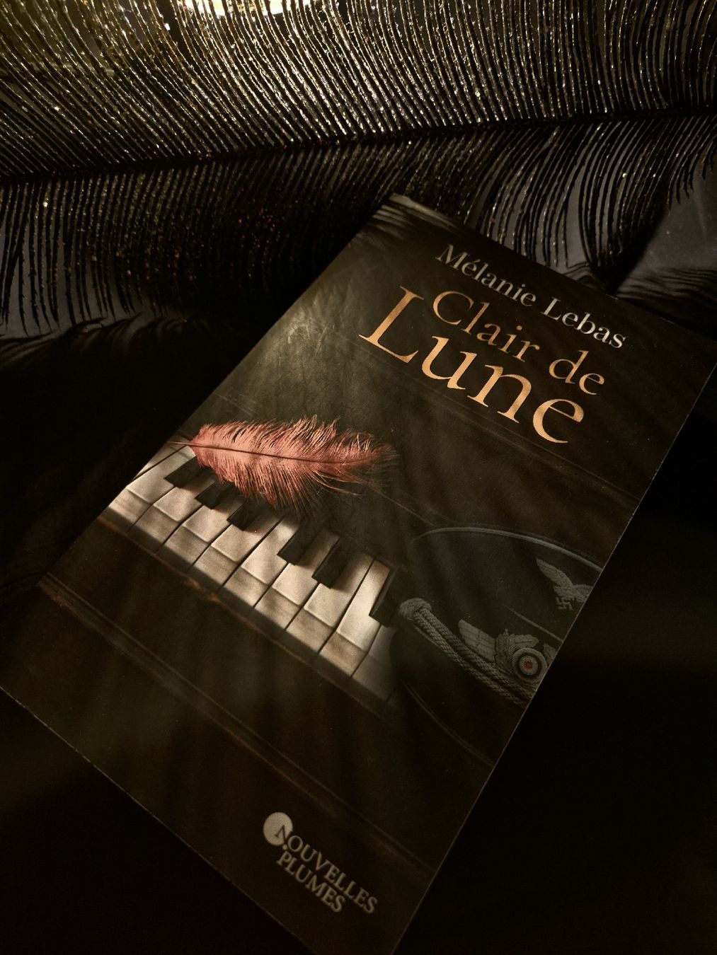 Libri: Clair de lune - Mélanie Lebas – Usato da Fleurier venduto da cin_7qkd