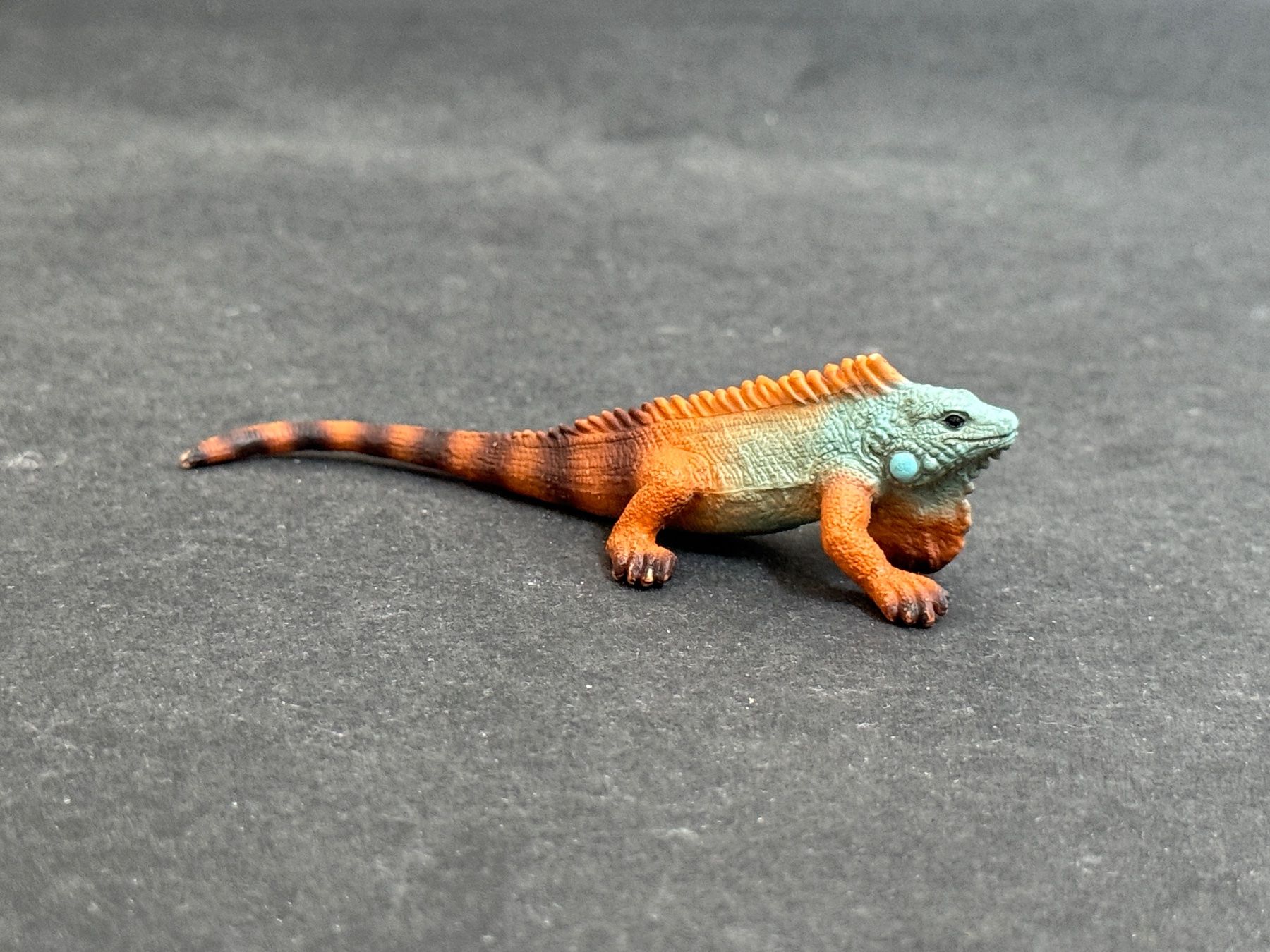 Schleich Statuette: Schleich Leguan 14854 – Nuovo (secondo la descrizione) da Ennetbaden venduto da mapa05
