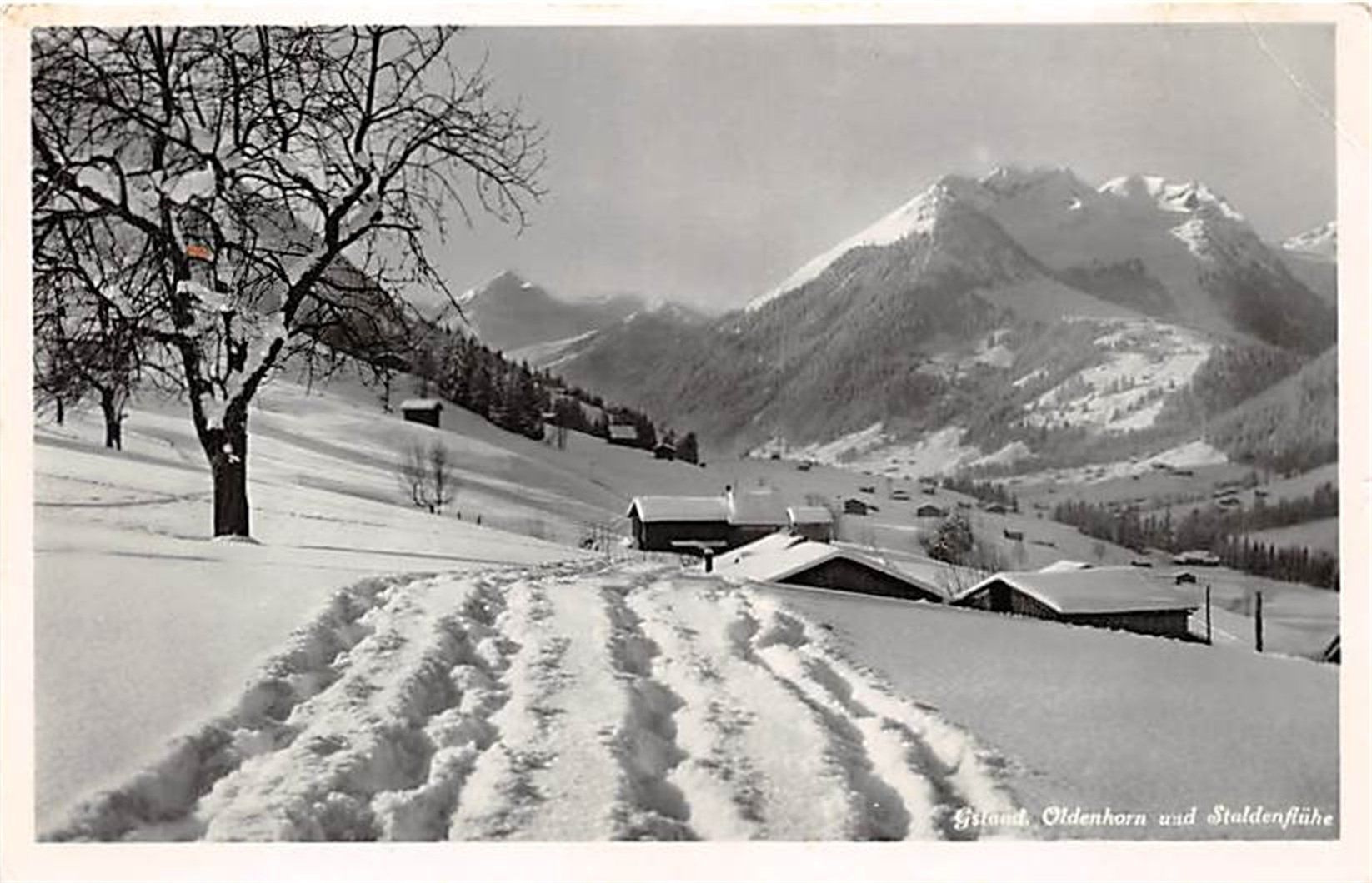 Ansichtskarten: Gstaad, Oldenhorn und Staldenflühe – Gebraucht aus Ottikon b.Kemptth. von Neptun1974