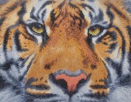 Diamond Painting Tiger-200-30x40-726