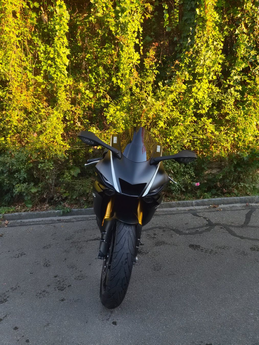 Yamaha Strada: Yamaha YZF R6 35kw – Usato da Fislisbach venduto da LEMO_Motos 3