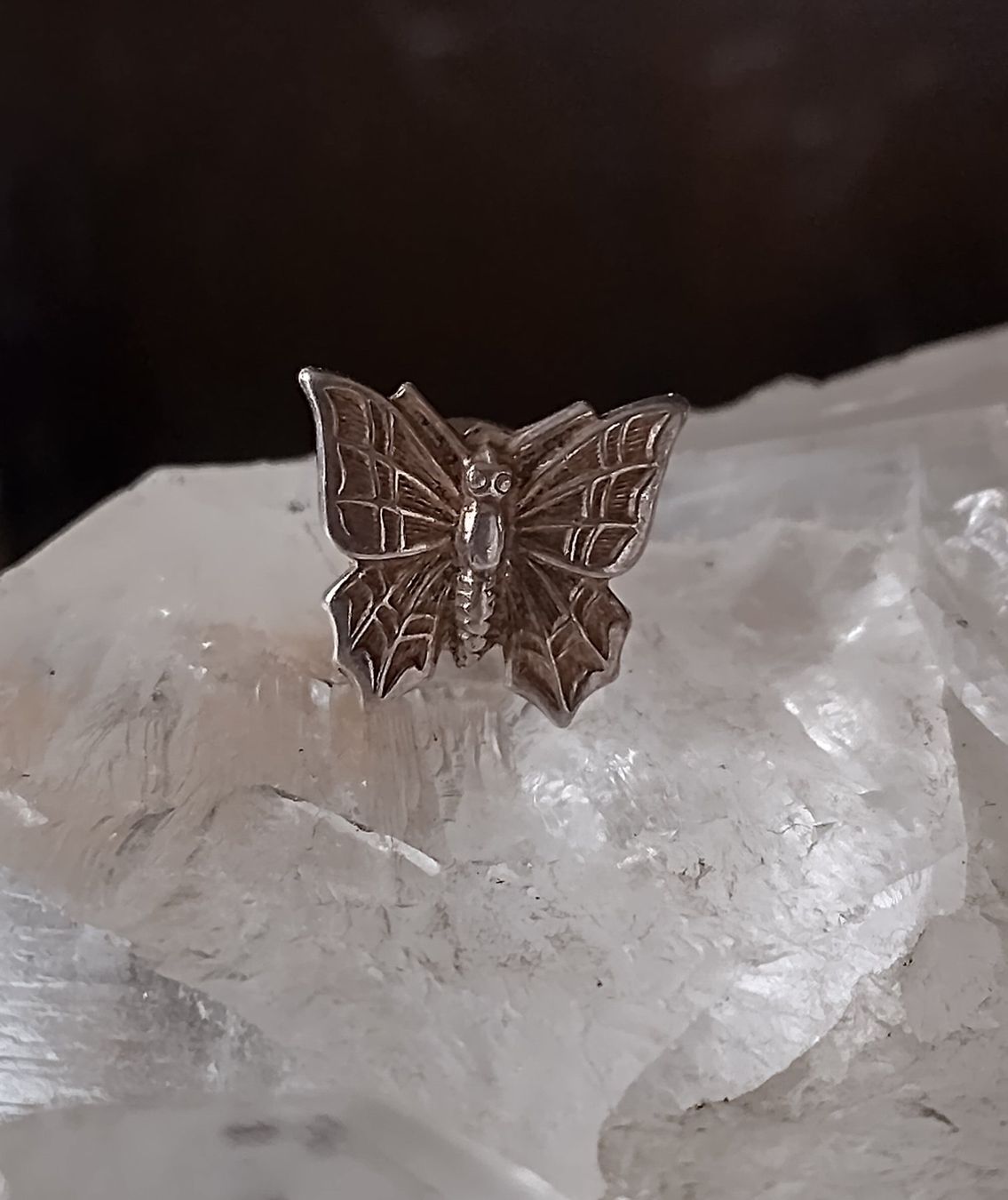 Ohrringe & -stecker: SCHMETTERLING OHRRINGE SILBER 800 925 – Gebraucht aus Romanshorn von Glitzer-Paradies 1