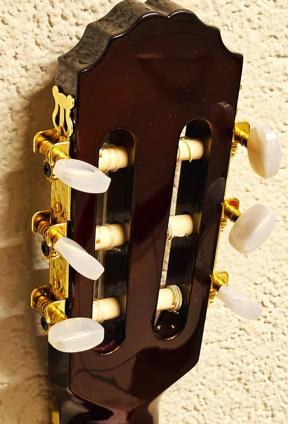 Musikinstrumente: Klassikgitarre (Konzertgitarre  4/4-tel GEWA BASIC (NEU) – Neu und originalverpackt aus Wöschnau von Musikhaus-Luethy5012 7