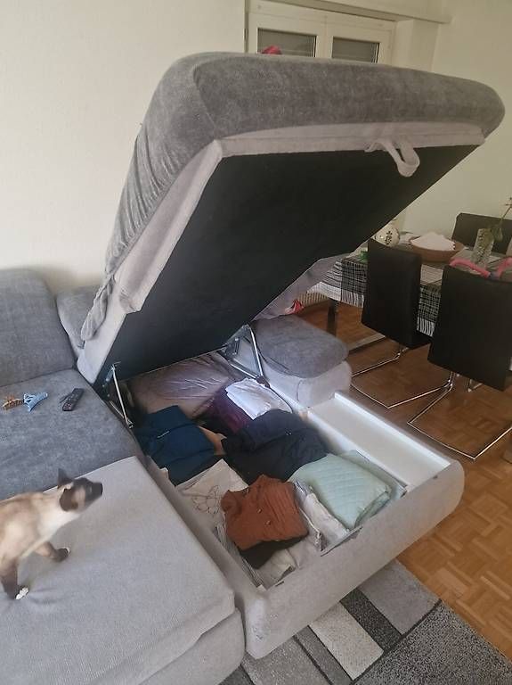 Divani: Sofa – Usato da Belp venduto da pra_tjh7 2
