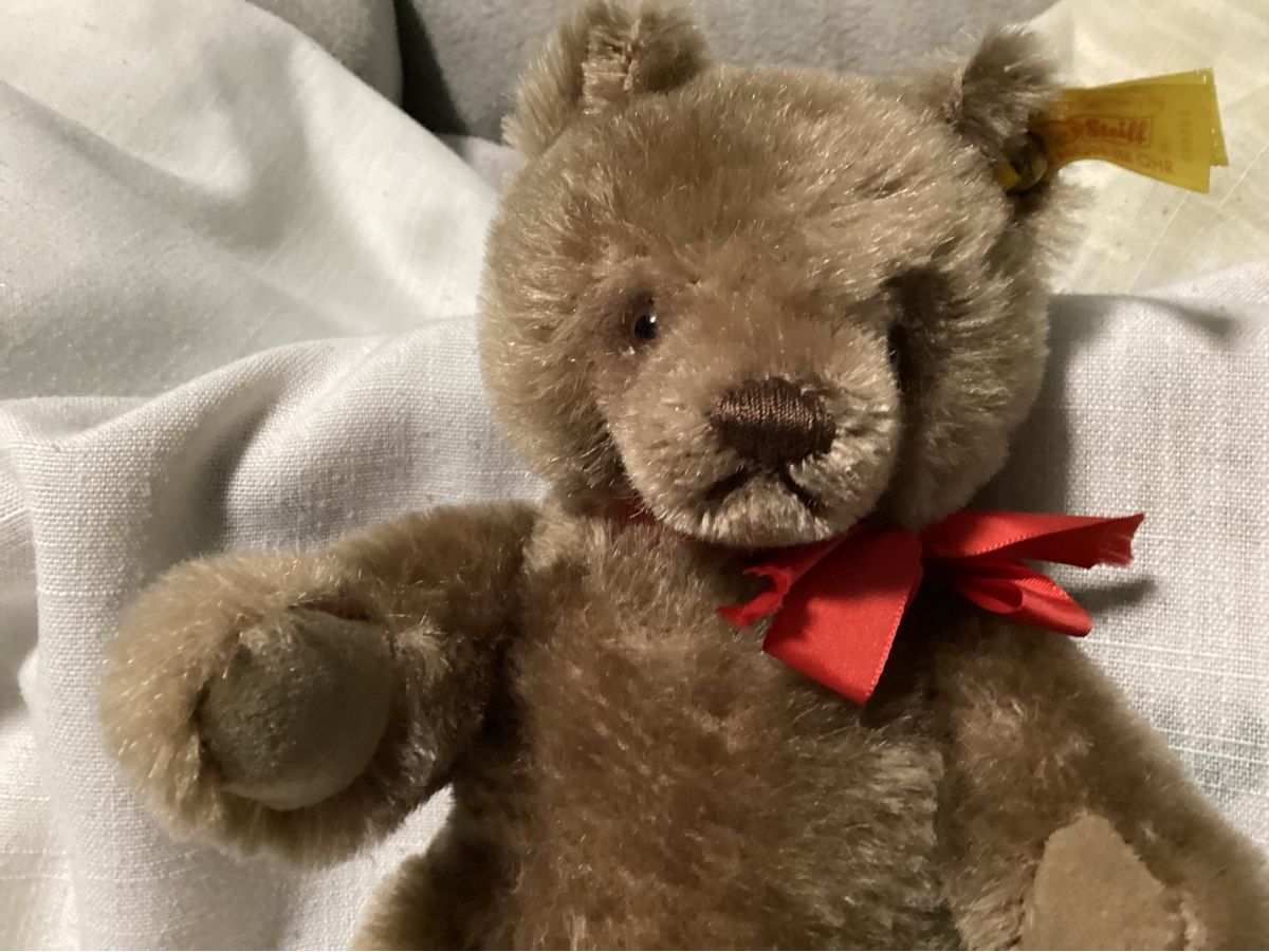 Steiff Giocattoli: STEIFF TEDDY MIT KNOPF UND FAHNE – Usato da Münchenstein venduto da NoSu98 4