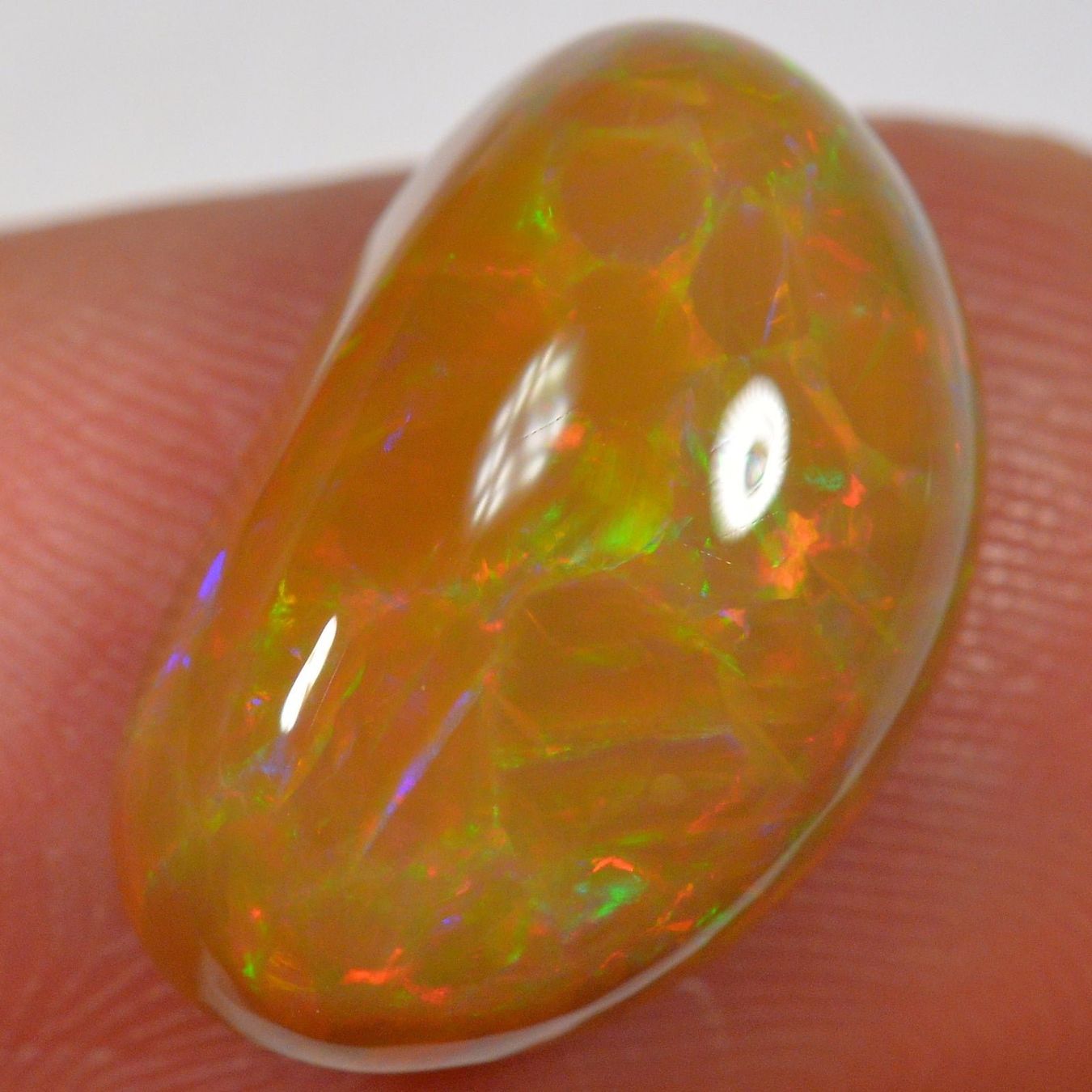 Pietre preziose: 6.6 Karat - Brown Base Cell Pattern - Äthiopischer Welo Opal – Nuovo (secondo la descrizione) da Rüti ZH venduto da DeinOpal 1