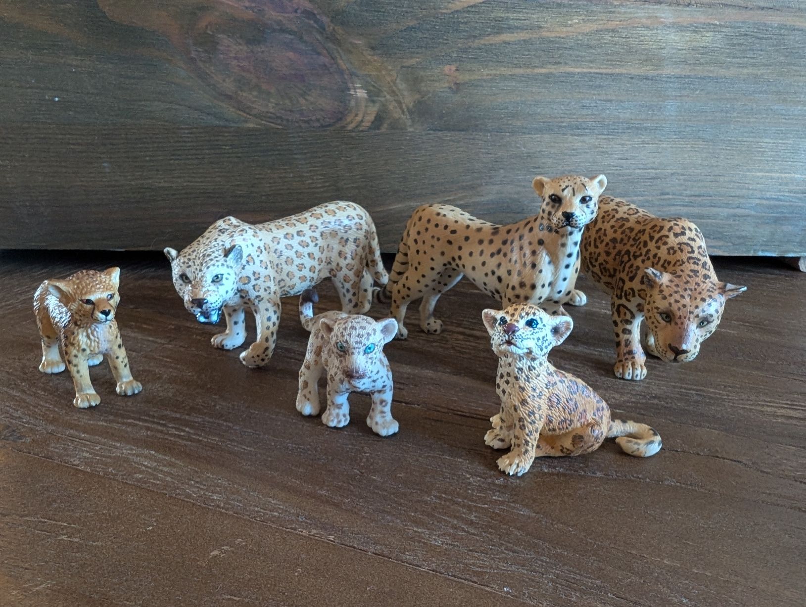 Schleich Spielzeuge: Schleich-Set: Raubkatzen – Gebraucht aus Schaffhausen von RamonaPK 3