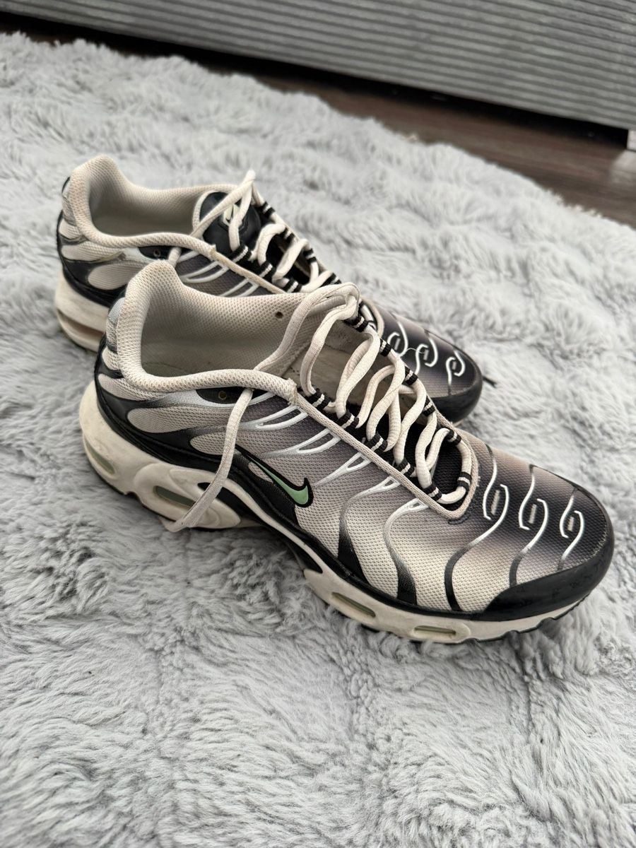Nike Scarpe da uomo: Nike Air Max TN, Grösse 40! – Usato da Baar venduto da byt_6pt2
