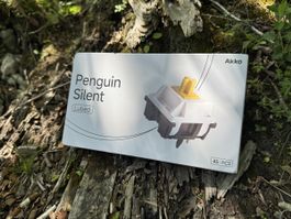 AKKO Penguin Silent Switches