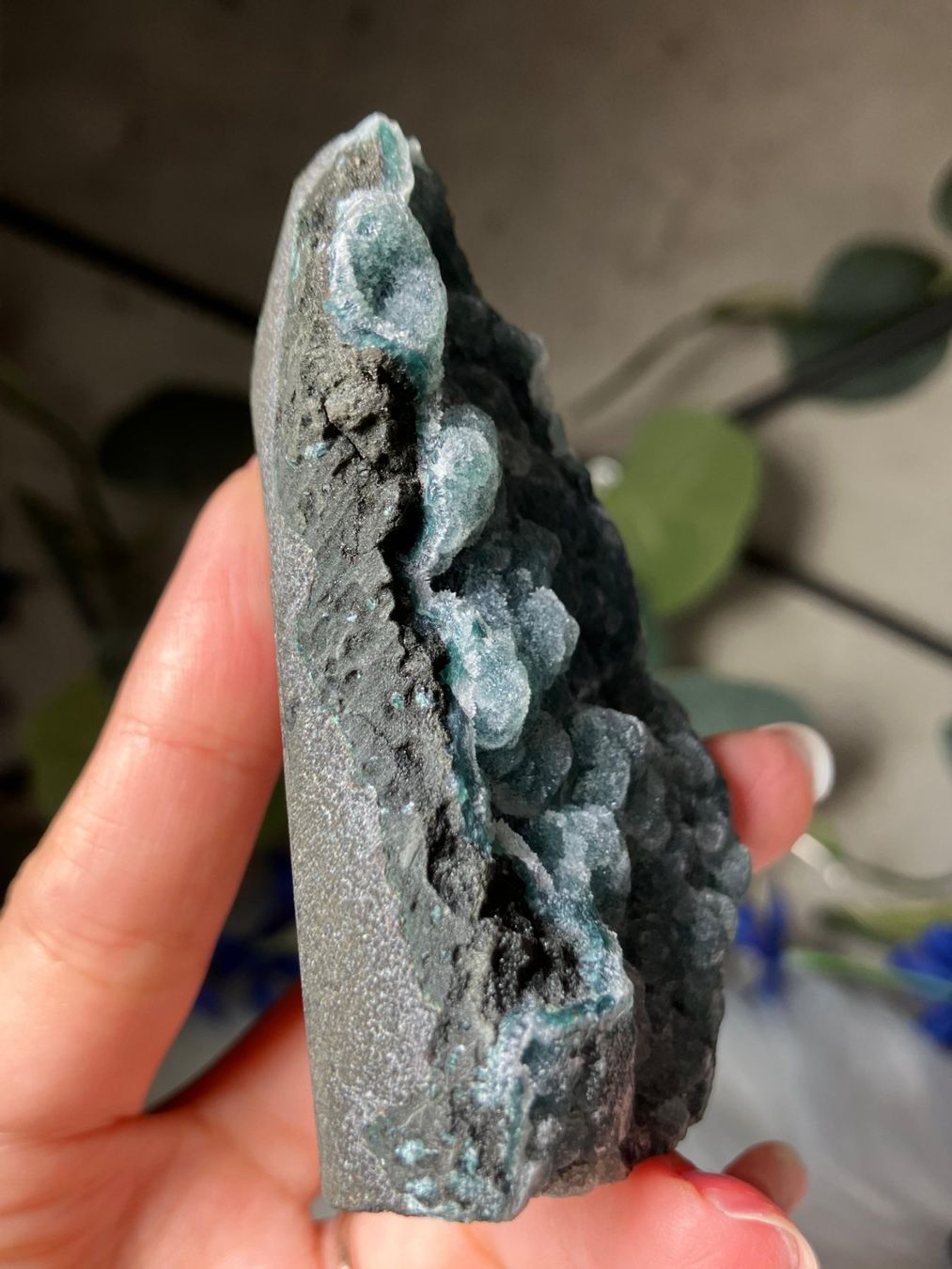 Minerali & Pietre curative: Grüner Chalcedon-Stalaktit – Nuovo (secondo la descrizione) da Neuheim venduto da m.hald 2
