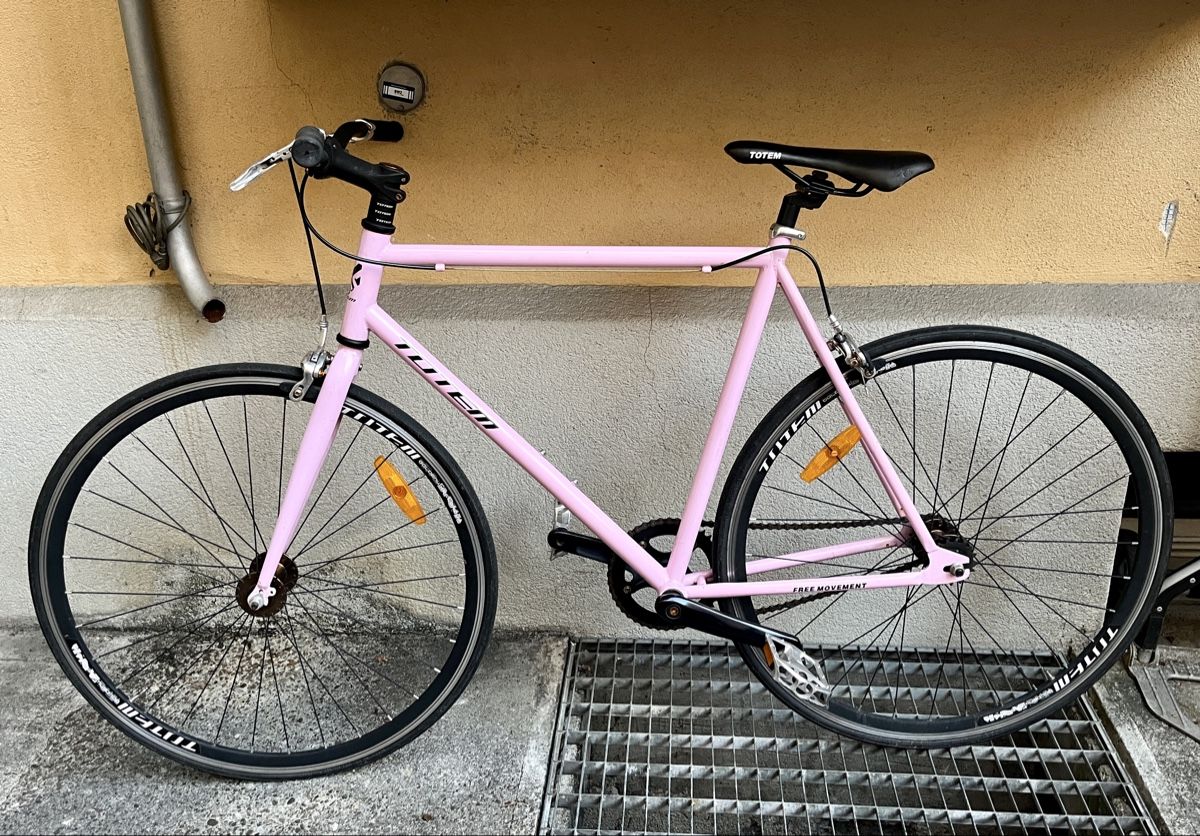 Totem Velos: Singlespeed Totem – Defekt aus Zürich von flelisa