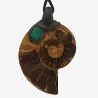 Ammonit Fossil Steinanhänger mit eingefasstem Malachit