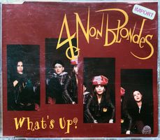 4 Non Blondes – What's Up?