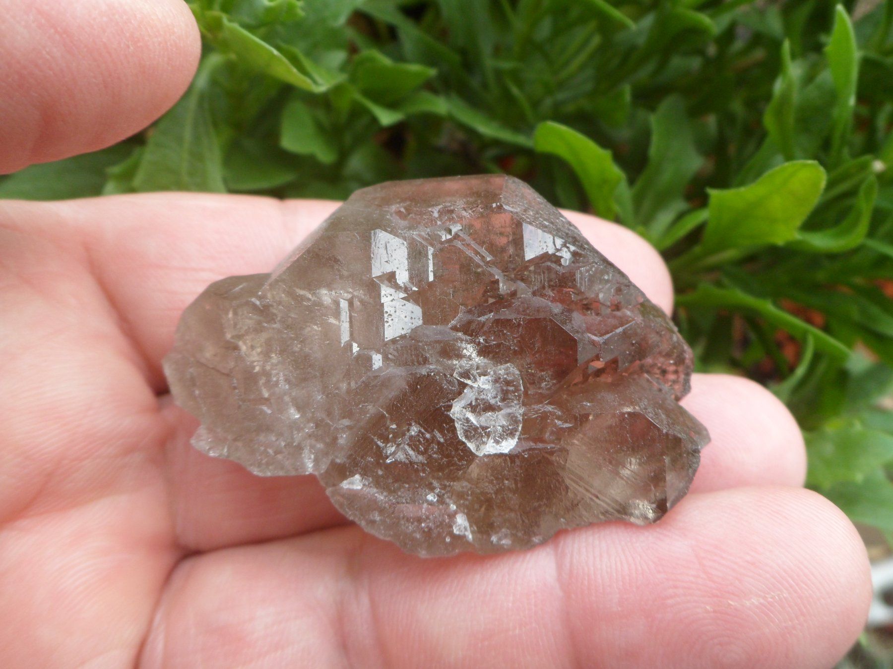 Minerali & Pietre curative: Rauchquarz Gwindel Schweiz – Usato da Affoltern am Albis venduto da Fossil60 5