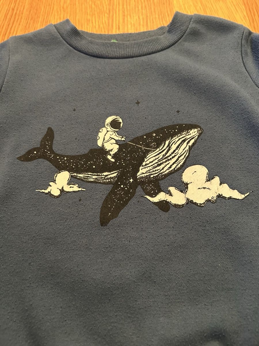 Pullover & Sweatshirts: Kinder Pullover Gr. 104 Blau mit Walmotiv – Gebraucht aus Schwarzenbach SG von bienchen22 2