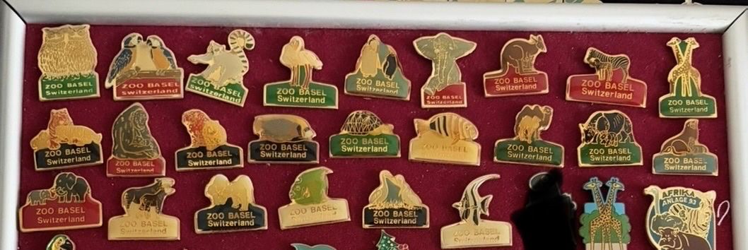 Placchette & Badge: Sammlung Zoo Basel Anstecker Pins – Usato da Allschwil venduto da AnnixAnnox