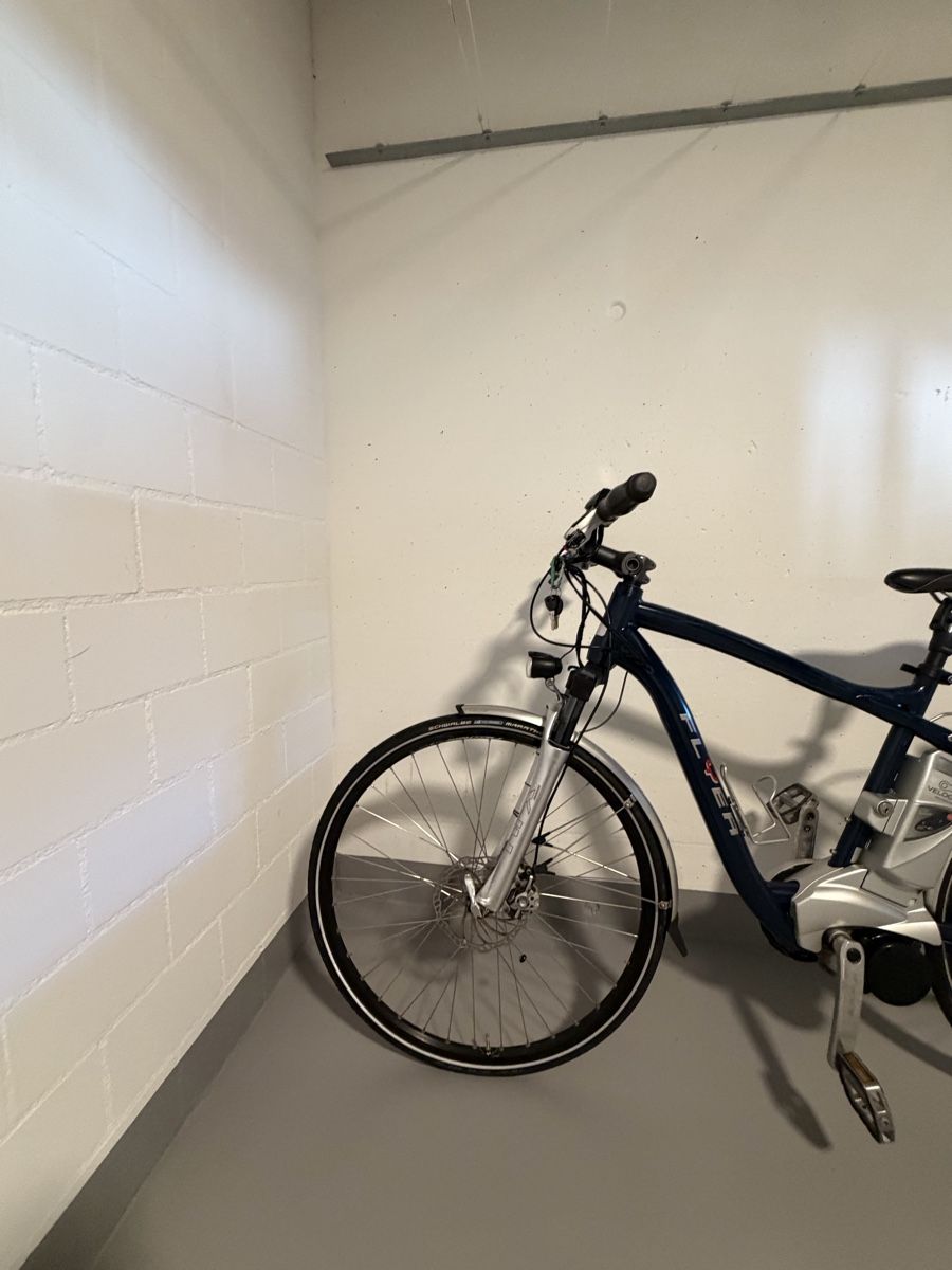 Flyer Biciclette: Elektrovelo Flyer  – Usato da Kägiswil venduto da rezha 1