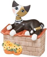Katze Katzen Angolino soleggiato Blume Blumen Topf liegend