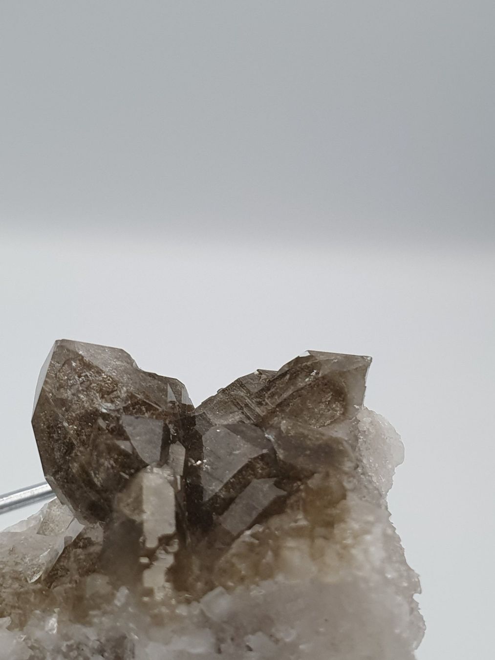 Mineralien & Heilsteine: Phantomquarzstufe – Neu (gemäss Beschreibung) aus Holderbank SO von swiss-minerals