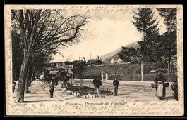 AK Bienne, Promenade du Pasquart, 1901
