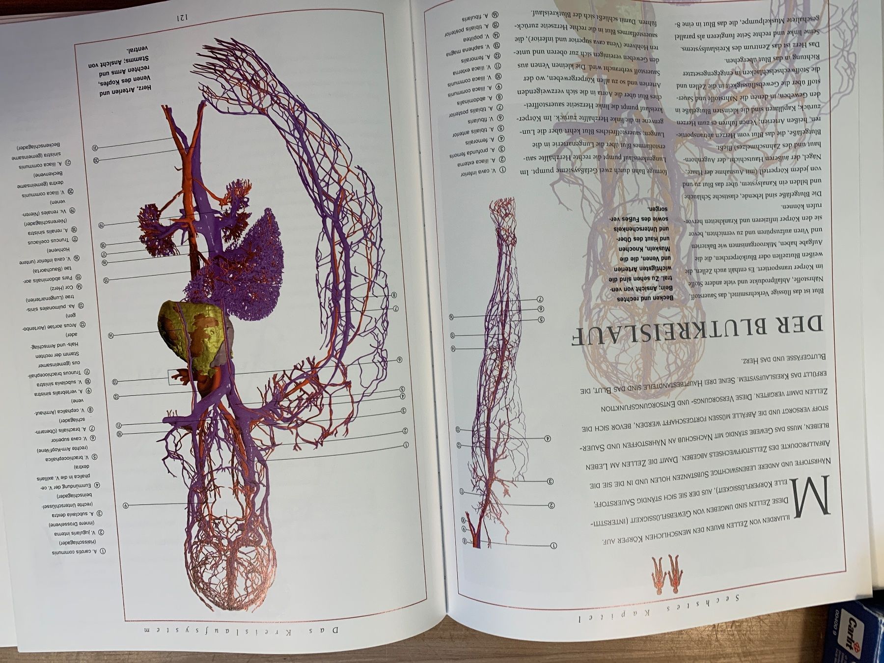 Bücher: Buch Anatomie Atlas – Gebraucht aus Neerach von Flomaja 1