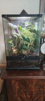 Terrarium