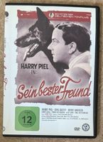 SEIN BESTER FREUND
