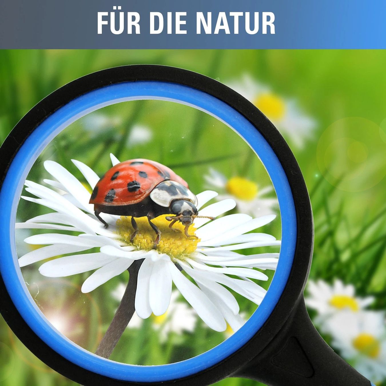 Sonstiges zu Optik: Lupe Glas 75 mm Durchmesser NEU – Neu und originalverpackt aus Trasadingen von ger_pdk8 8